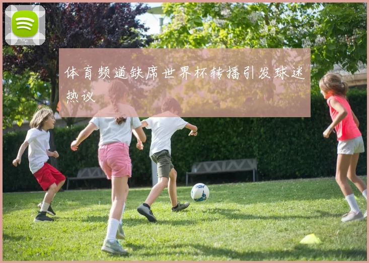 体育频道缺席世界杯转播引发球迷热议
