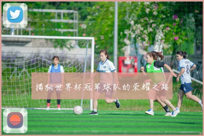揭秘世界杯冠军球队的荣耀之路