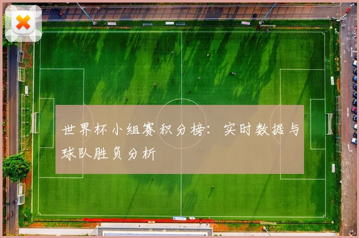 世界杯小组赛积分榜：实时数据与球队胜负分析