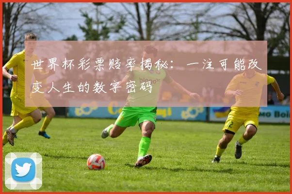 世界杯彩票赔率揭秘：一注可能改变人生的数字密码