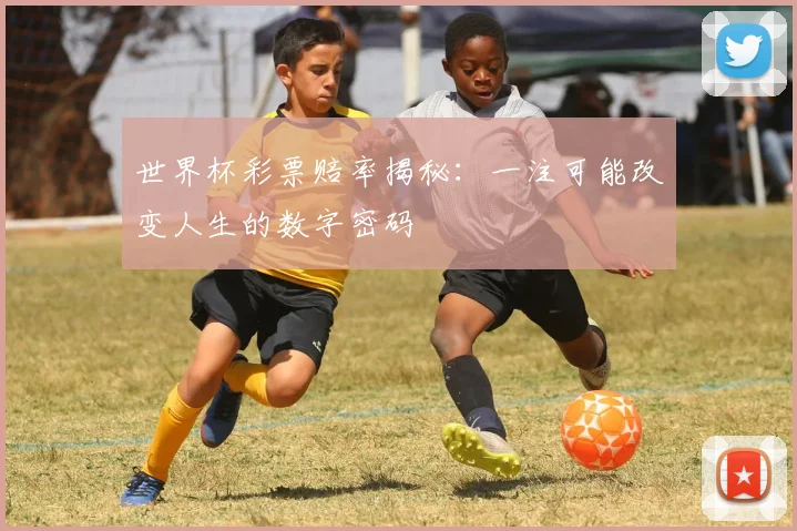 世界杯彩票赔率揭秘：一注可能改变人生的数字密码