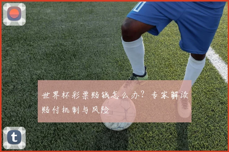 世界杯彩票赔钱怎么办？专家解读赔付机制与风险