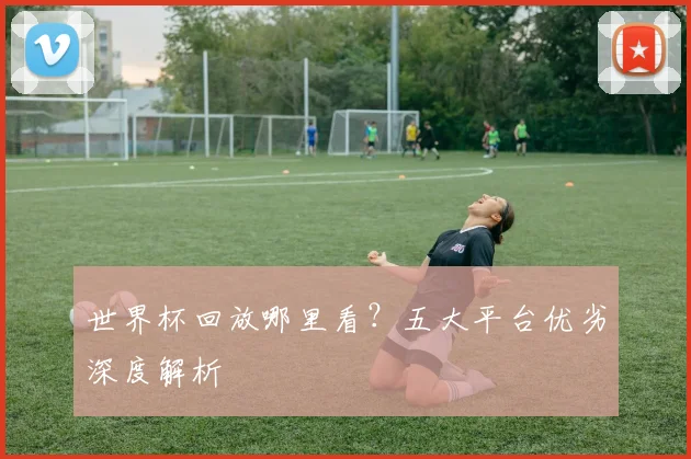 世界杯回放哪里看？五大平台优劣深度解析