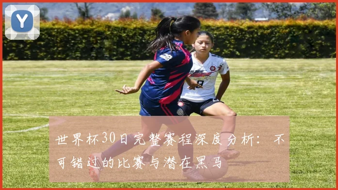 世界杯30日完整赛程深度分析：不可错过的比赛与潜在黑马