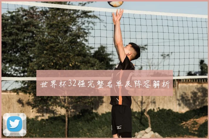 世界杯32强完整名单及阵容解析